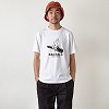 DAMSELS 詳細画像