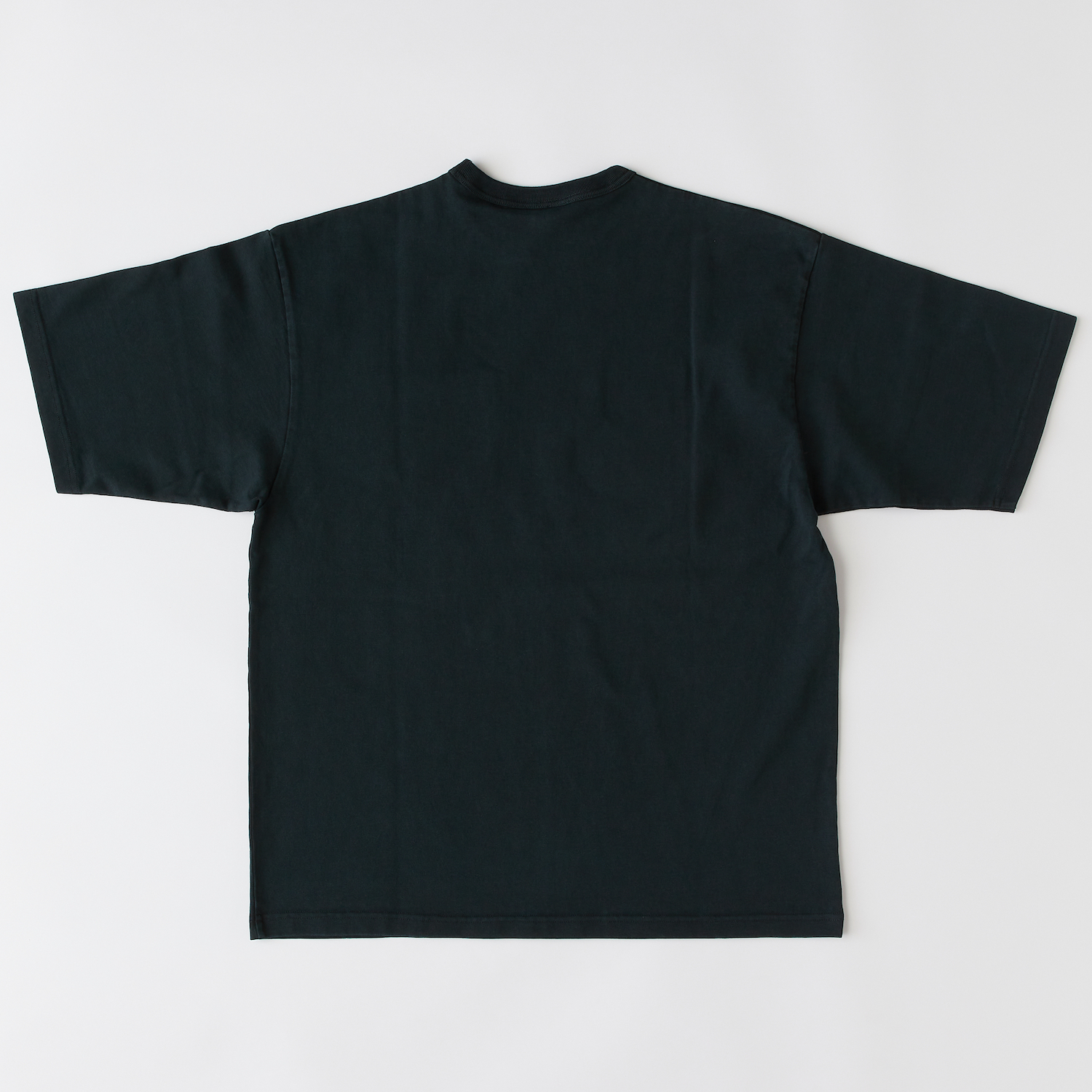 FADEMENTee 詳細画像 GREEN 2