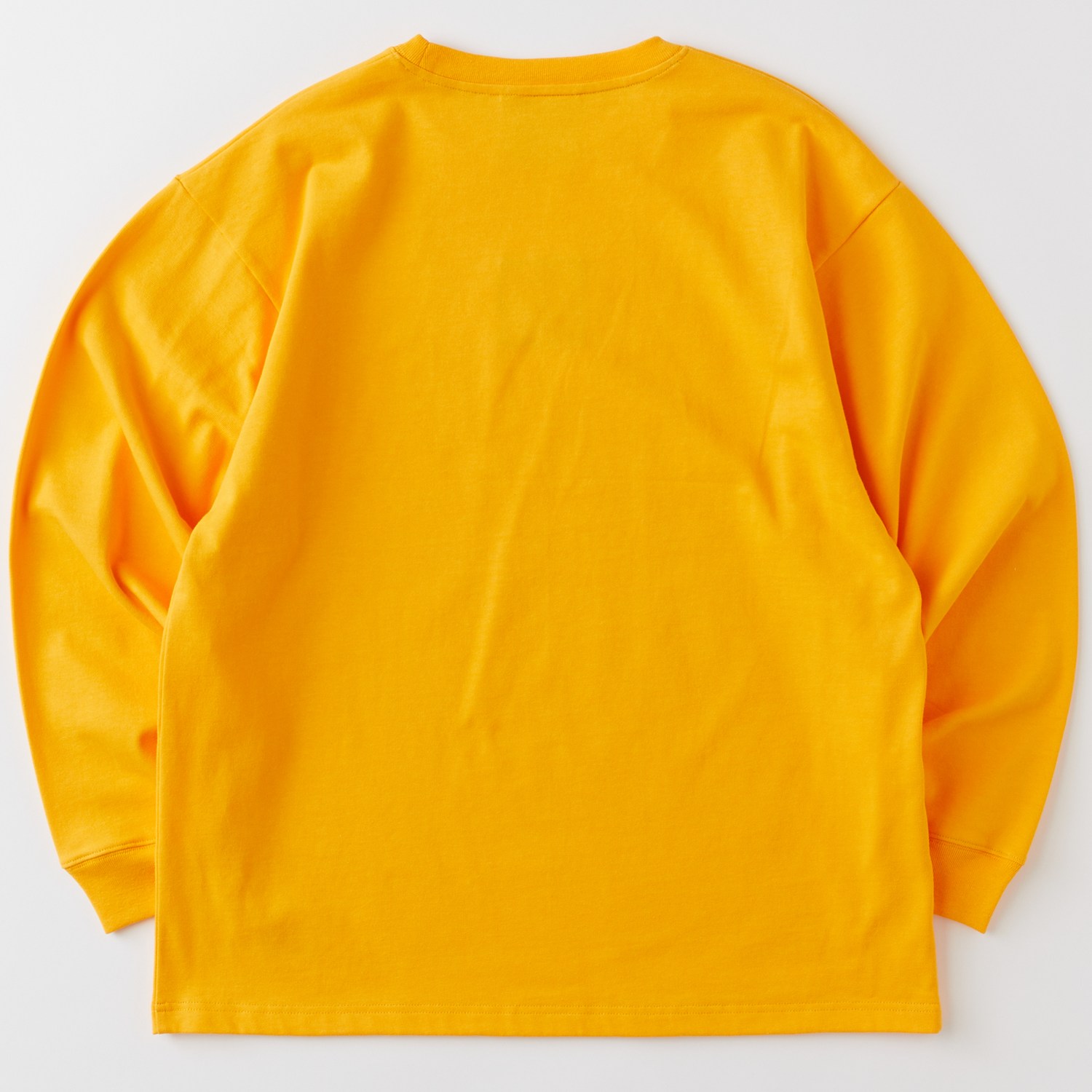 EMBOX L 詳細画像 YELLOW 2